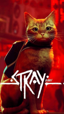 STRAY